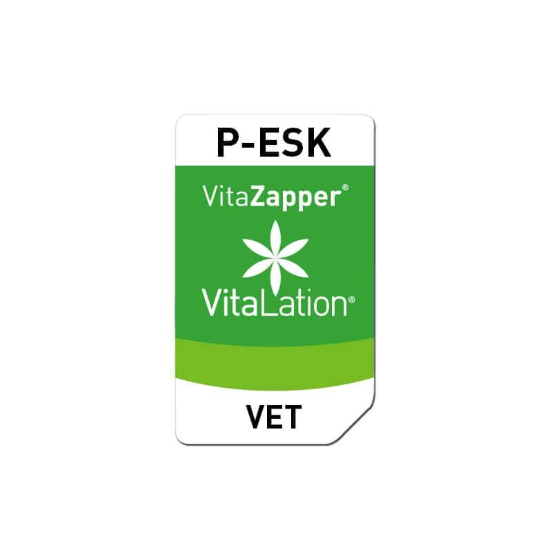 P-ESK