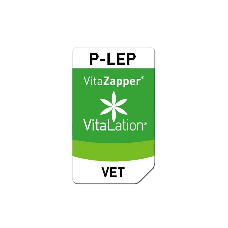 P-LEP