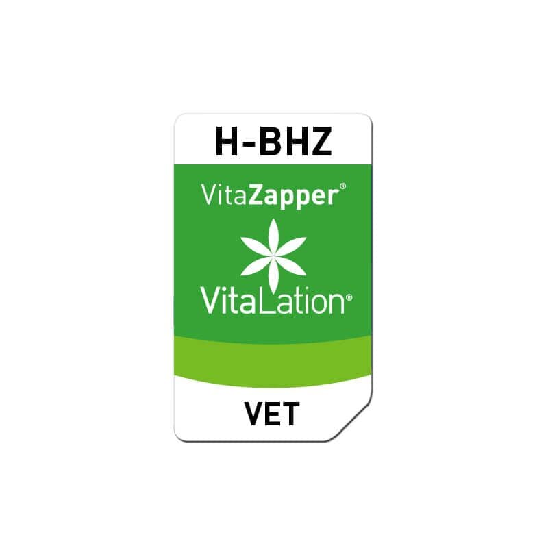 H-BHZ