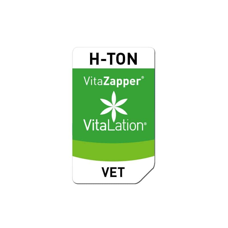 H-TON