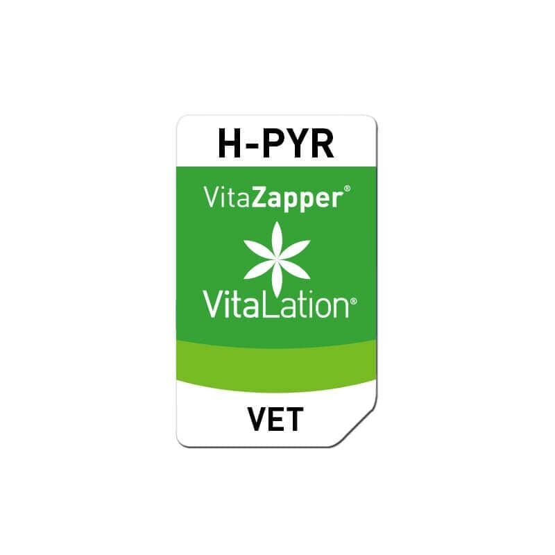 H-PYR