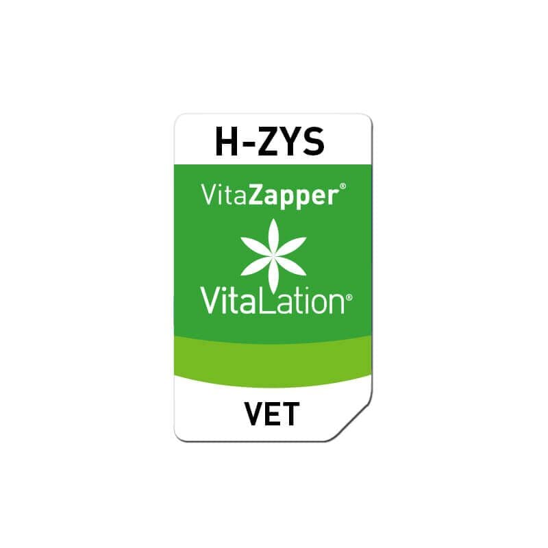 H-ZYS