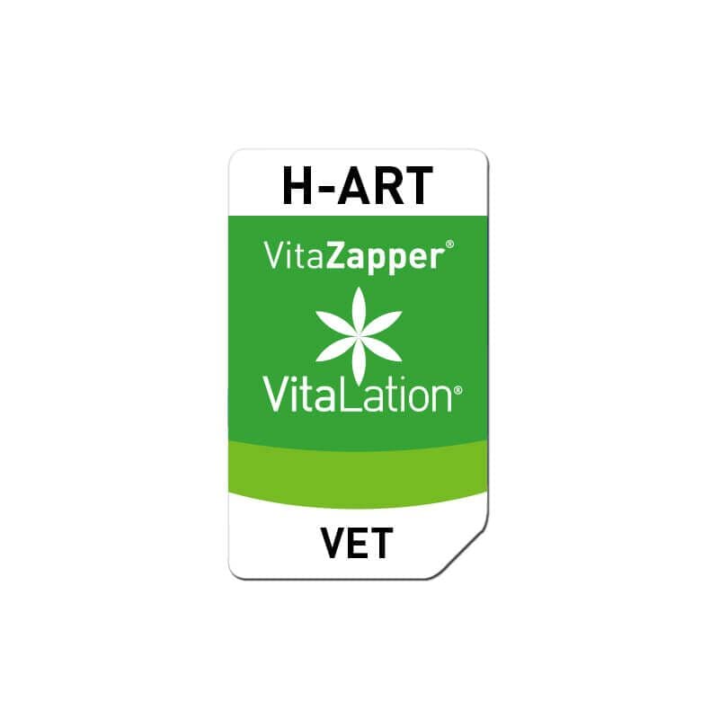 H-ART