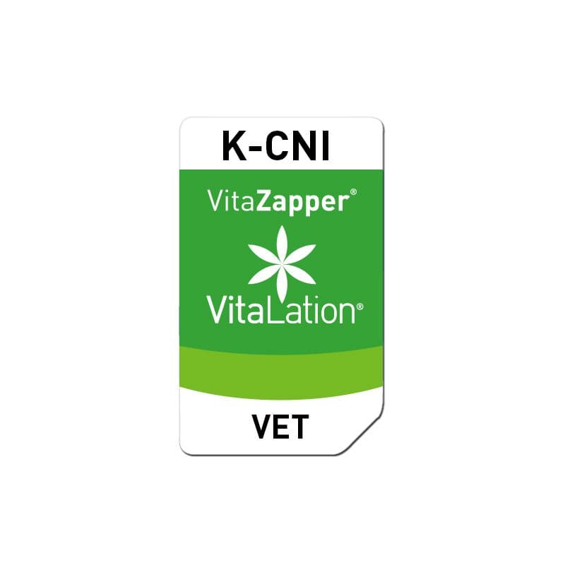 K-CNI