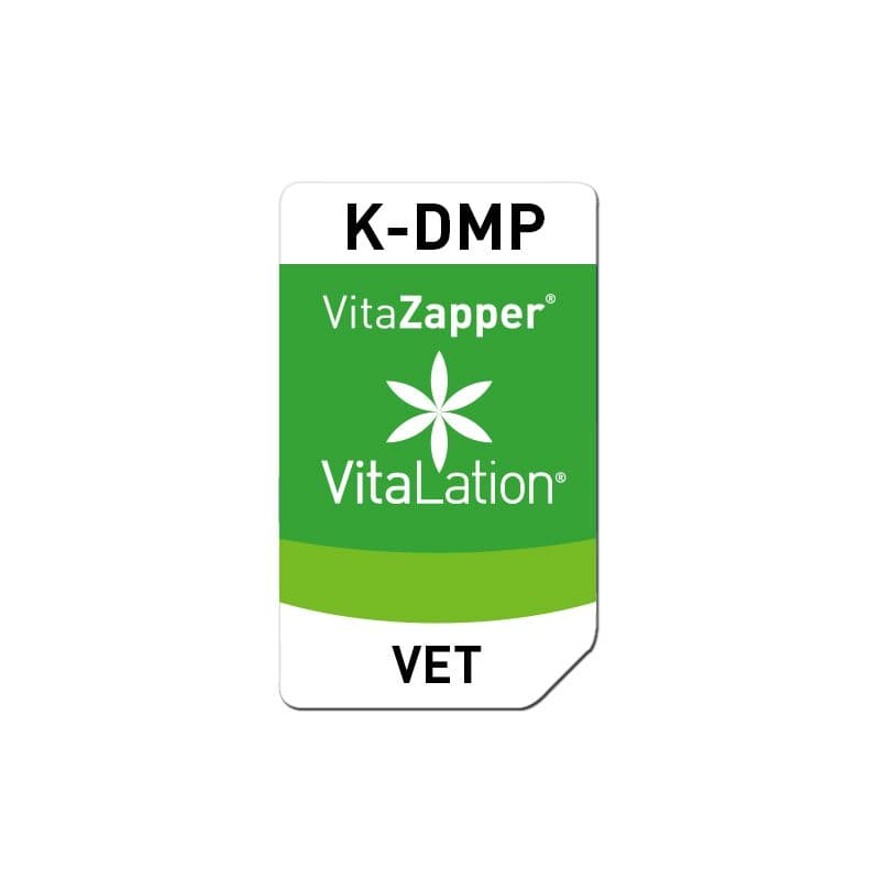 K-DMP